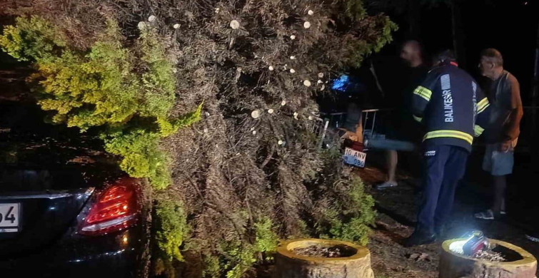Erdek'te fırtına ve dolu yağışı: ağaçlar devrildi, çatılar uçtu