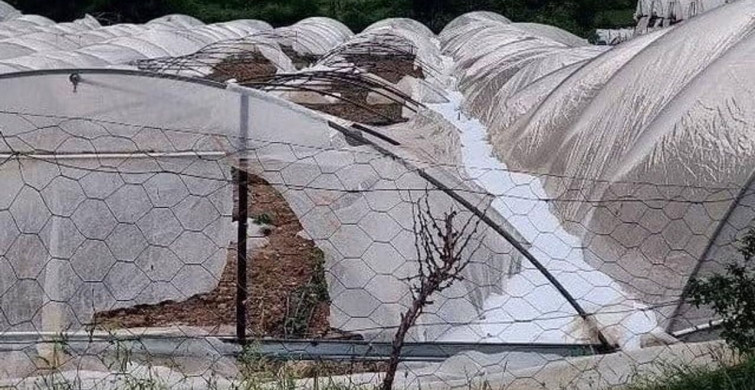 Erdemli'de Dolu Tarım Alanlarına Zarar Verdi