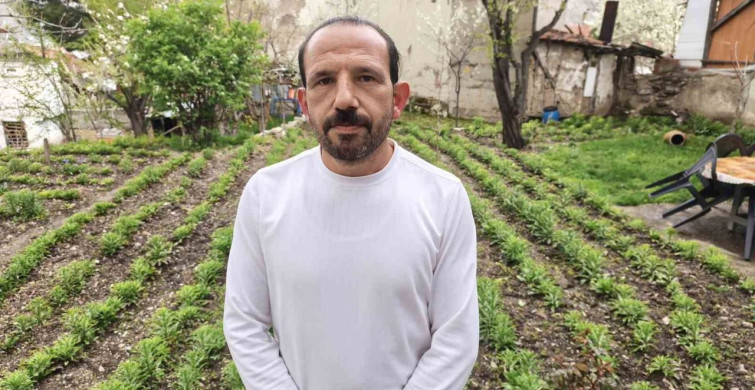 Erdi Can Aydemir'in Akzambak Mirası