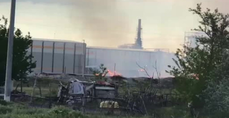 Ereğli'de Kağıt Fabrikası Bahçesinde Yangın Çıktı
