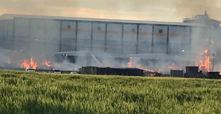Ereğli'deki Kağıt Fabrikasında Yangın Paniği