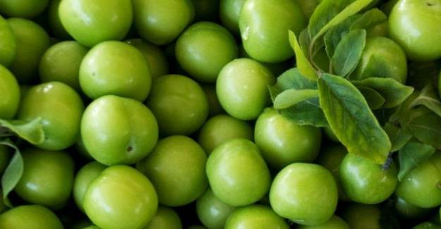 Eriğin Tanesi 20 TL, Kilosu 1000 TL'ye Satılıyor