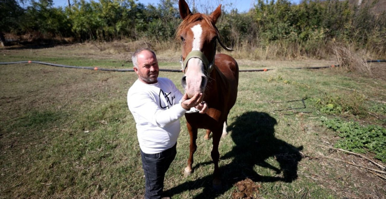 Erken Teşhisle Kanseri Yenen Akman Akay, At Yetiştiriciliğine Adım Attı