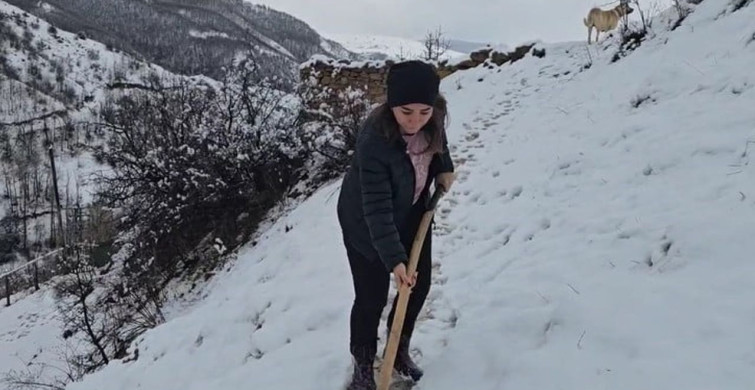 Erzincan Refahiye'de Kışa Dönüş: Kar Yağışı Etkili Oldu