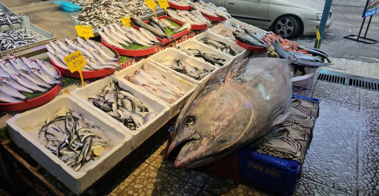 Erzincan'da 287 Kilogramlık Orkinos Fırtınası