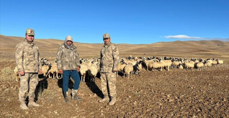 Erzincan'da 300 Koyun İHA ile Bulundu