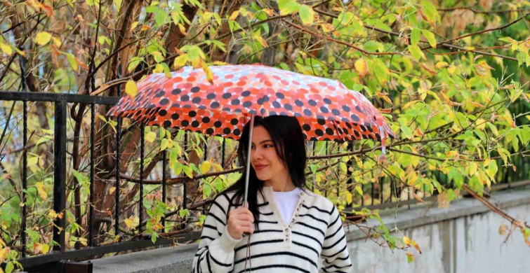 Erzincan'da Ani Dolu Yağışı