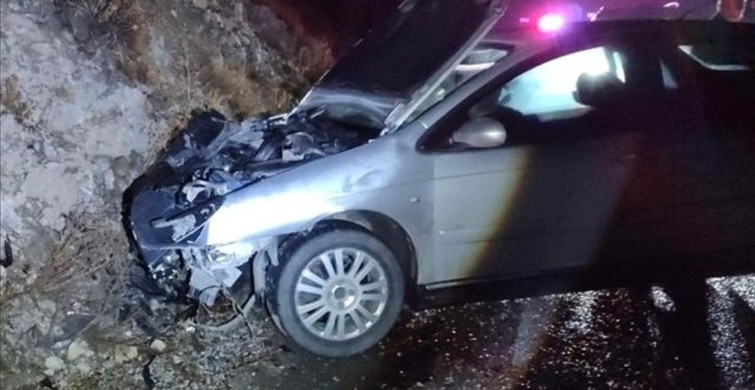 Erzincan'da Ayıya Çarpan Otomobilde Yaralanma Olayı