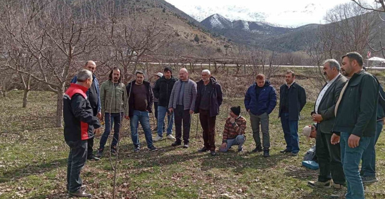 Erzincan'da Çiftçilere Budama Eğitimi