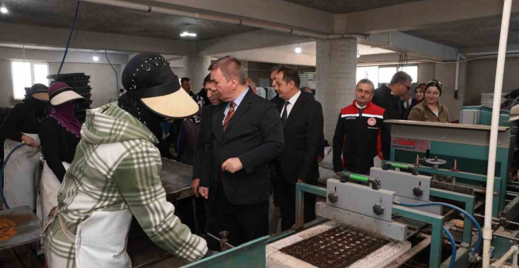 Erzincan'da Fide Üretimi Zirveye Çıkıyor