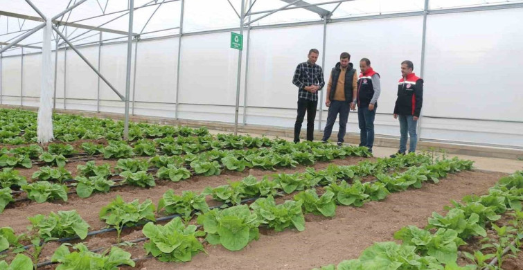 Erzincan'da Modern Seracılık Faaliyetleri
