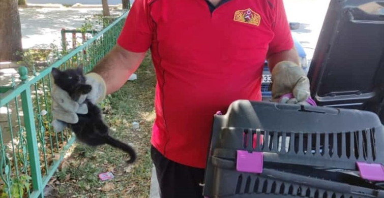 Erzincan'da Motor Kısmında Sıkışan Kedi Yavrusunu İtfaiye Kurtardı