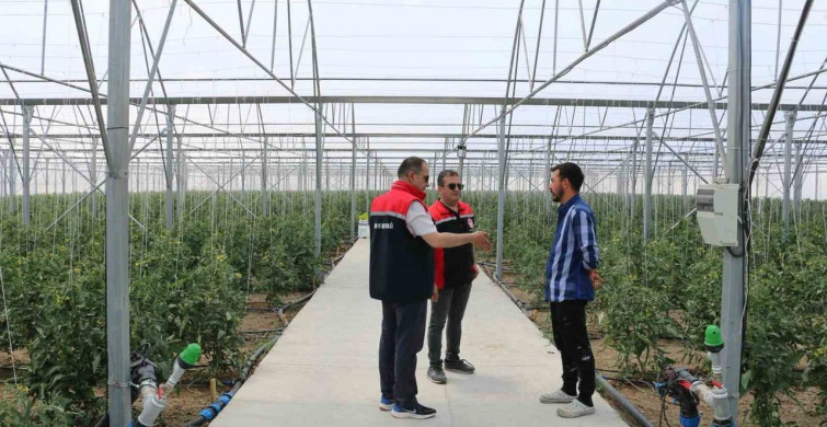 Erzincan'da seracılık faaliyetleri yerinde incelendi