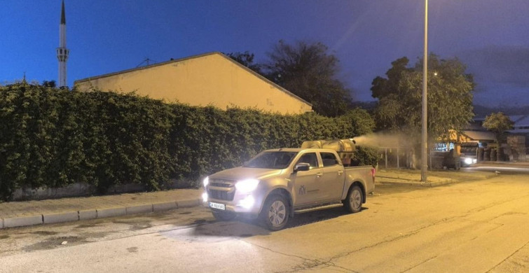 Erzincan'da Sinek Mücadelesi İkinci Aşamada