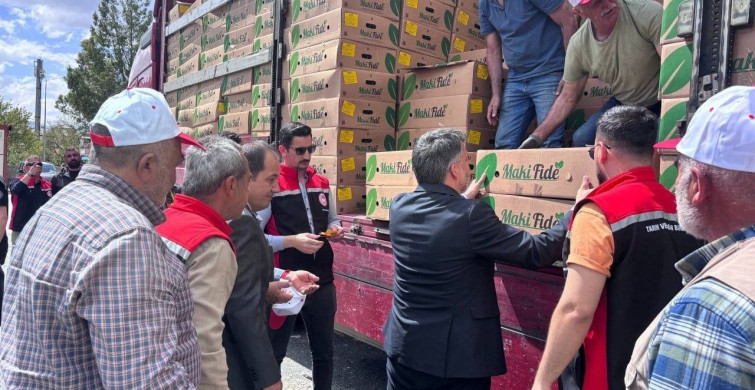 Erzincan'da Üreticilere Fide Dağıtımı