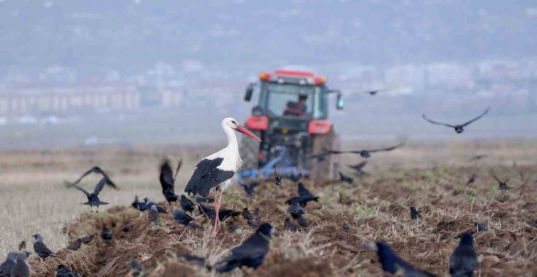 Erzincan'da Zirai Don Uyarısı