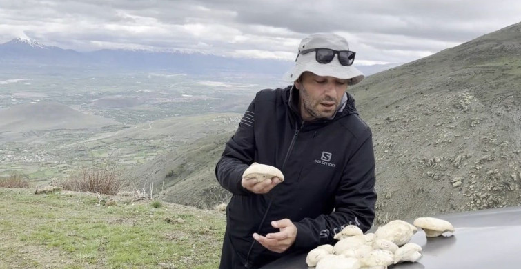 Erzincan'ın Çaşır Mantarı: Altınla Yarışan Bir Lezzet