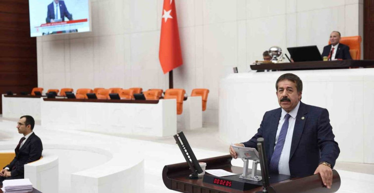 Erzurum Modeli ile Sahipsiz Sokak Köpeklerine Çözüm