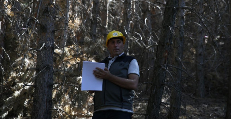 Erzurum Ormanlarında Yangın Öncesi Tedbirler Alınıyor