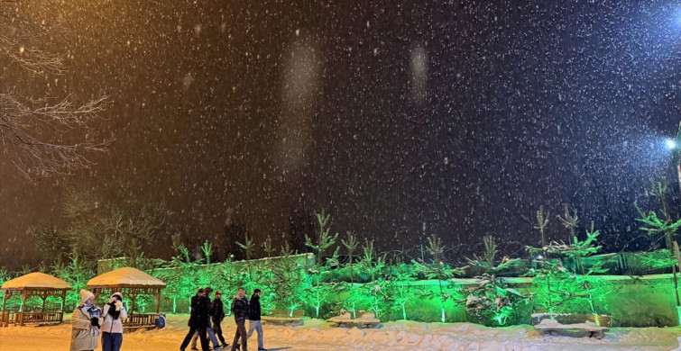 Erzurum ve Ardahan'da Kar Yağışı, Kars'ta Sis Etkili