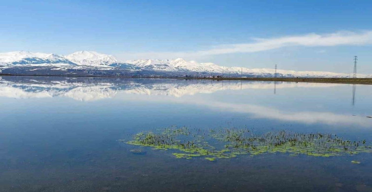 Erzurum ve Çevresinde Zirai Don Uyarısı Yapıldı