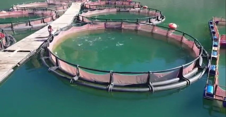 Erzurum'da 3,38 Milyar TL Destekle 5.226 Yeni İş İmkanı