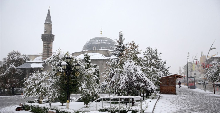 Erzurum'da Ekim Ayında İlk Kar Yıllara Göre Erken Geldi