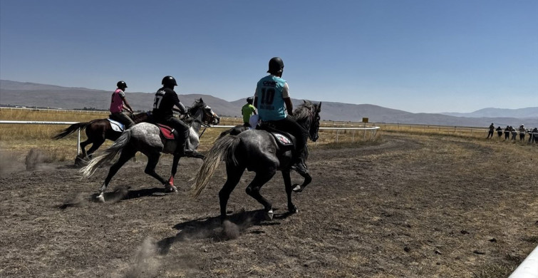 Erzurum'da Geleneksel Rahvan At Yarışları Heyecanı