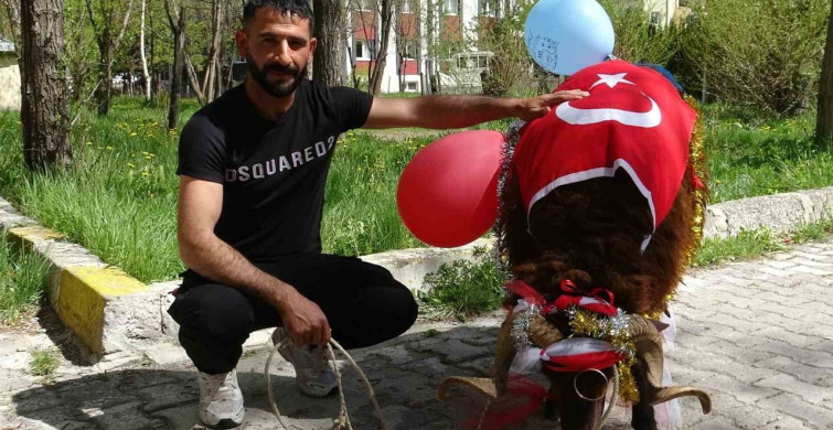 Erzurum'da 'Gelin Koçu' Geleneği Şampiyon Bayrağı ile Renklendi