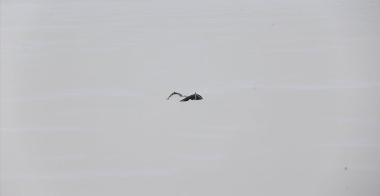 Erzurum'da Köyceğiz Göleti Buz Tutmuş Durumda