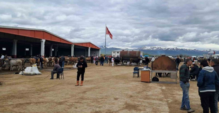 Erzurum'da Kurban Pazarı Hareketliliği Artıyor
