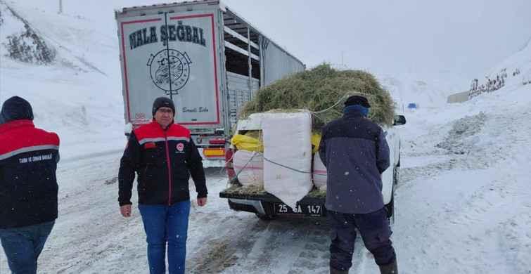 Erzurum'da Mahsur Kalan Hayvanlara Yardım