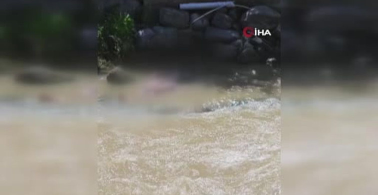 Erzurum'da piknikte köprüde barfiks çekerken düşen genç boğuldu