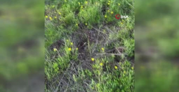 Erzurum'da Trafik Kazası: 3 Kişi Hayatını Kaybetti