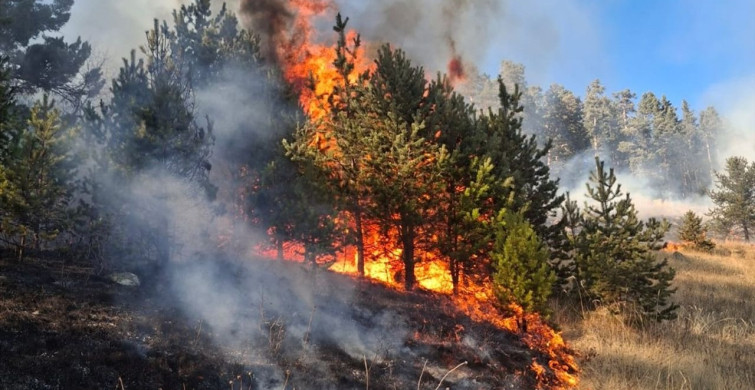 Erzurum'da Üç Noktada Çıkan Orman Yangınlarında İki Yangın Kontrol Altına Alındı