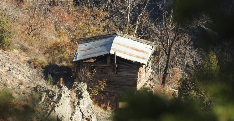 Erzurum'da Yaban Keçisi Avına Ceza