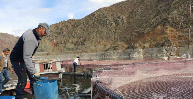 Erzurum'da Yılda 300 Ton Balık Üretimi