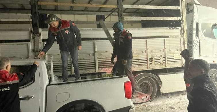 Erzurum'da Yoğun Tipi Hayvanları Zor Durumda Bıraktı