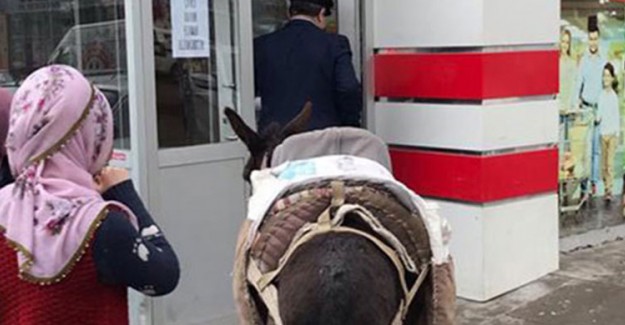 Eşek ile Markete Gelen Kişi Marketin Müdürü Çıktı!