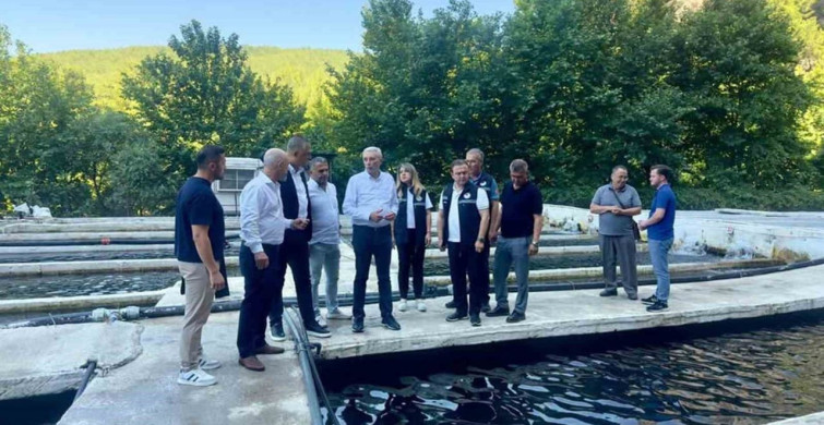 Eşen havzasındaki alabalık tesislerinde sektör değerlendirmesi