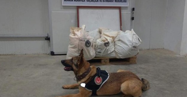 Esendere Gümrük Kapısı'nda 221 Kilogram Patlayıcı Ele Geçirildi