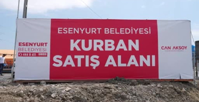 Esenyurt'ta Kurban Pazarı Hazır: İlk Hayvanlar Giriş Yaptı