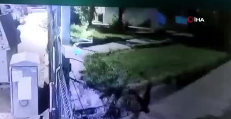 Eski eşini öldüren sanığın duruşmasında dikkat çeken ifadeler