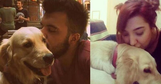 Eski Sevgililerin Paylaşılamayan Köpek Davasında Karar!