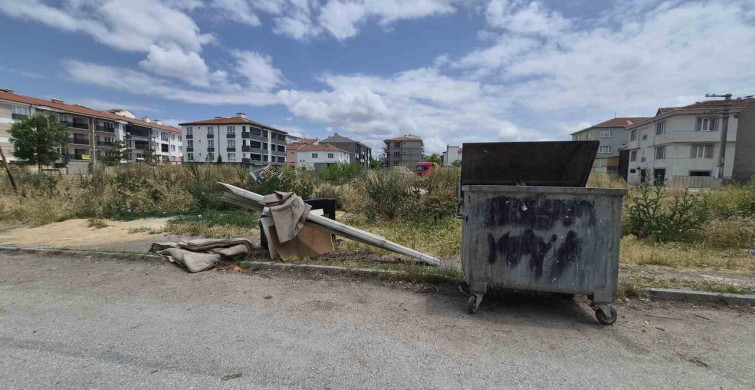 Eskişehir'de çevre kirliliği: eski ev eşyaları sokaklara atılıyor