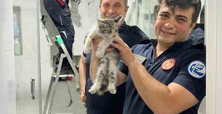 Eskişehir'de havalandırma boşluğuna düşen kedi itfaiye ekipleri tarafından kurtarıldı