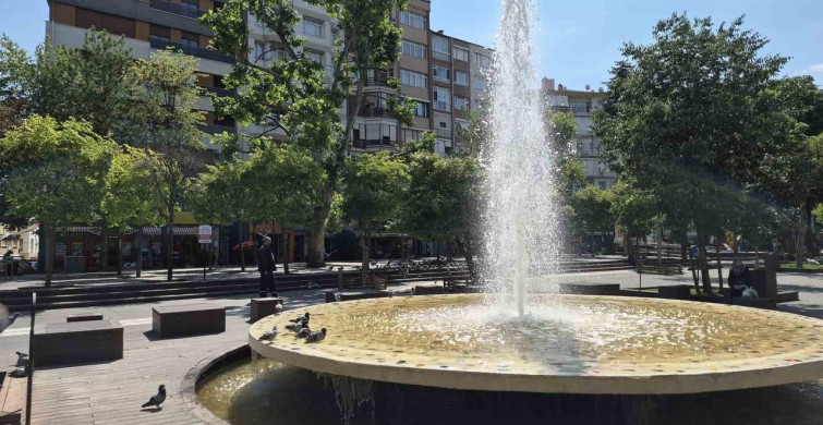 Eskişehir’de kuşlar süs havuzunda serinliyor