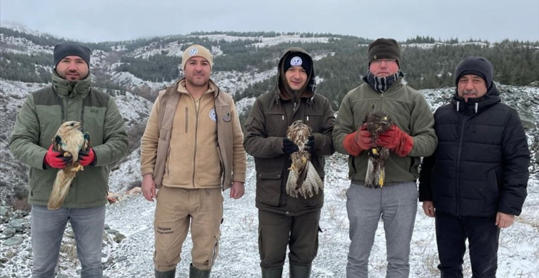 Eskişehir'de Yaralı Kuşların Tedavisi Başarıyla Tamamlandı
