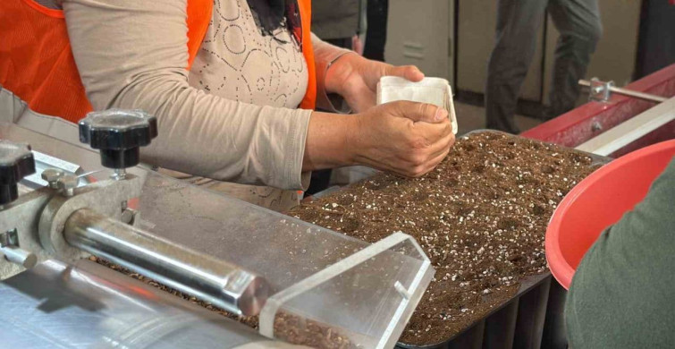 Eskişehir’den yangın bölgelerine gönderilen milyonlarca fidan nefes olacak