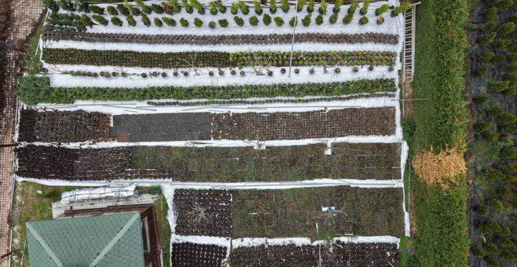 Ev Hanımı Filiz Köksal Kendi İşinin Patronu Oldu